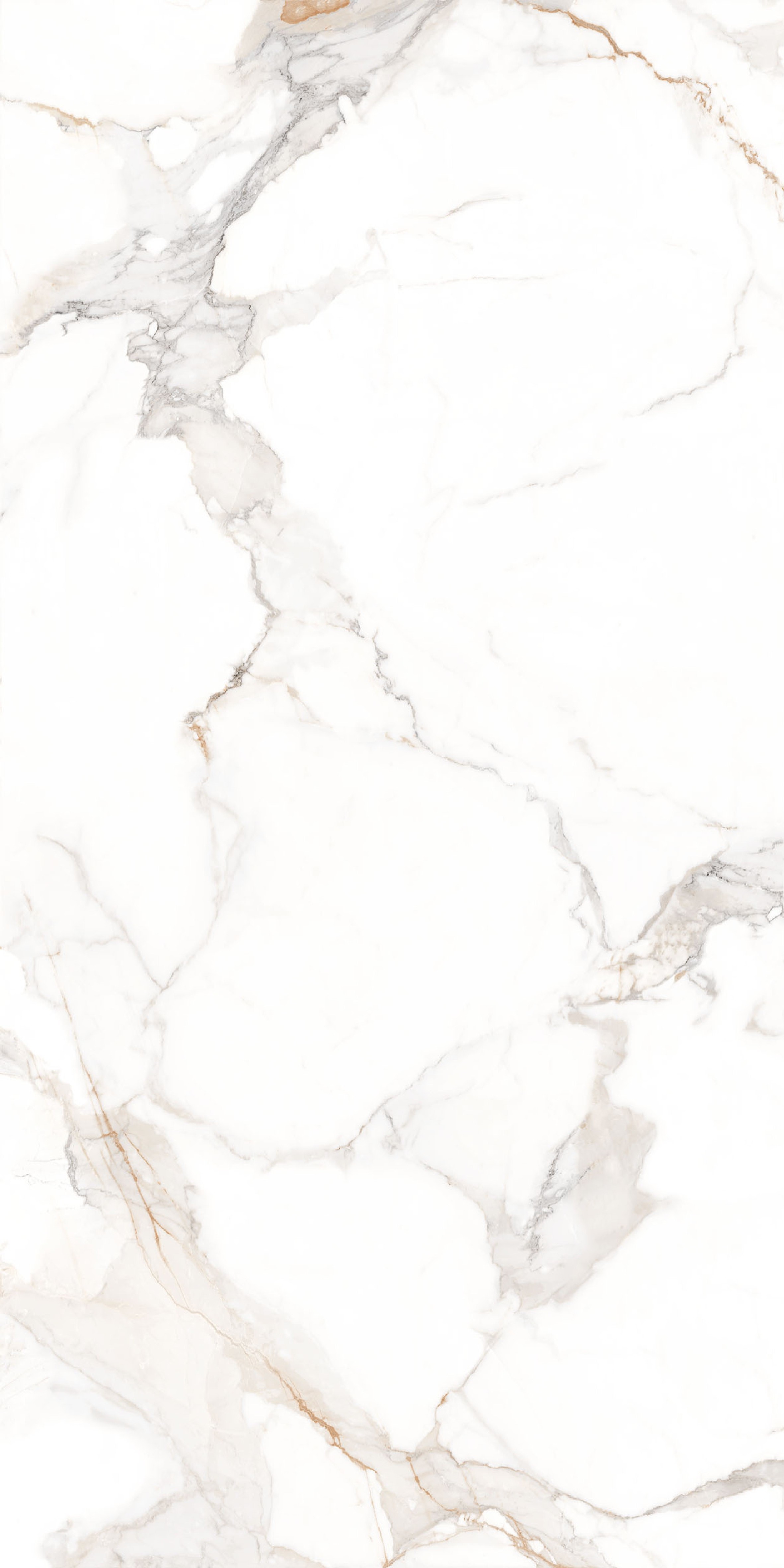 Calacatta Gold